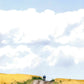 Velorukh. Cycling in Ukraine