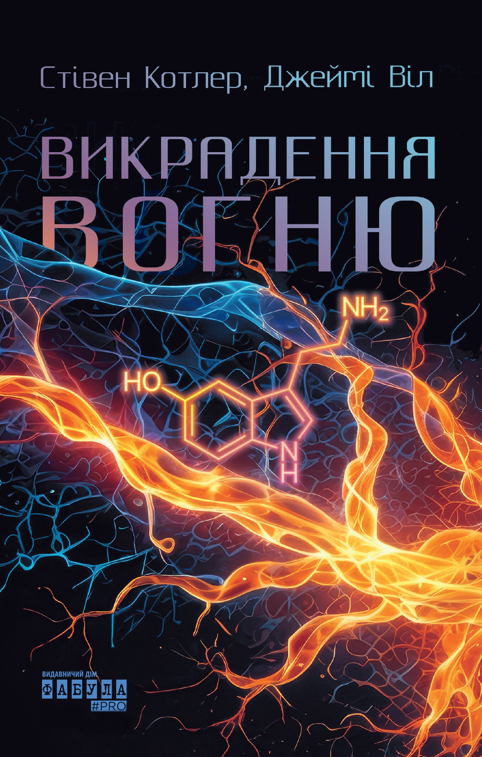Викрадення вогню. Як Кремнієва долина, «морські котики» та вчені-новатори революціонізують наш спосіб життя та праці cover