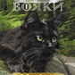 Забутий вояк. Книга 5. Коти-вояки. Знамення Зореклану