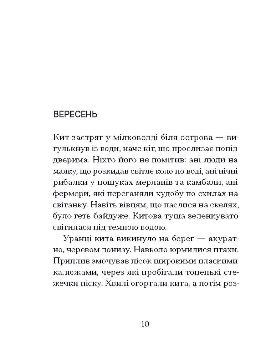 Китовий плин