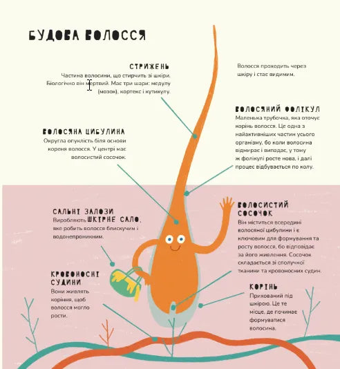 Книжка про волосся