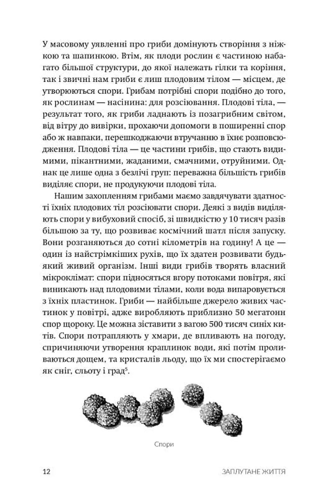 Заплутане життя. Як гриби формують наші світи, змінюють нашу свідомість і визначають наше майбутнє