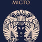 Місто (Класика української літератури ПН)