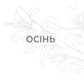 Рік благодаті