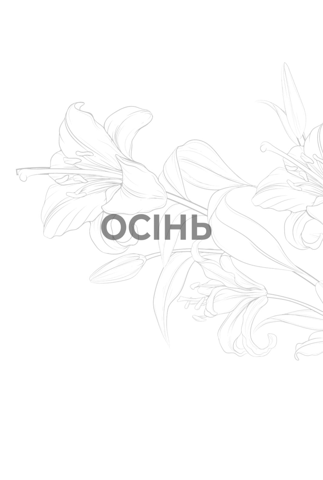 Рік благодаті