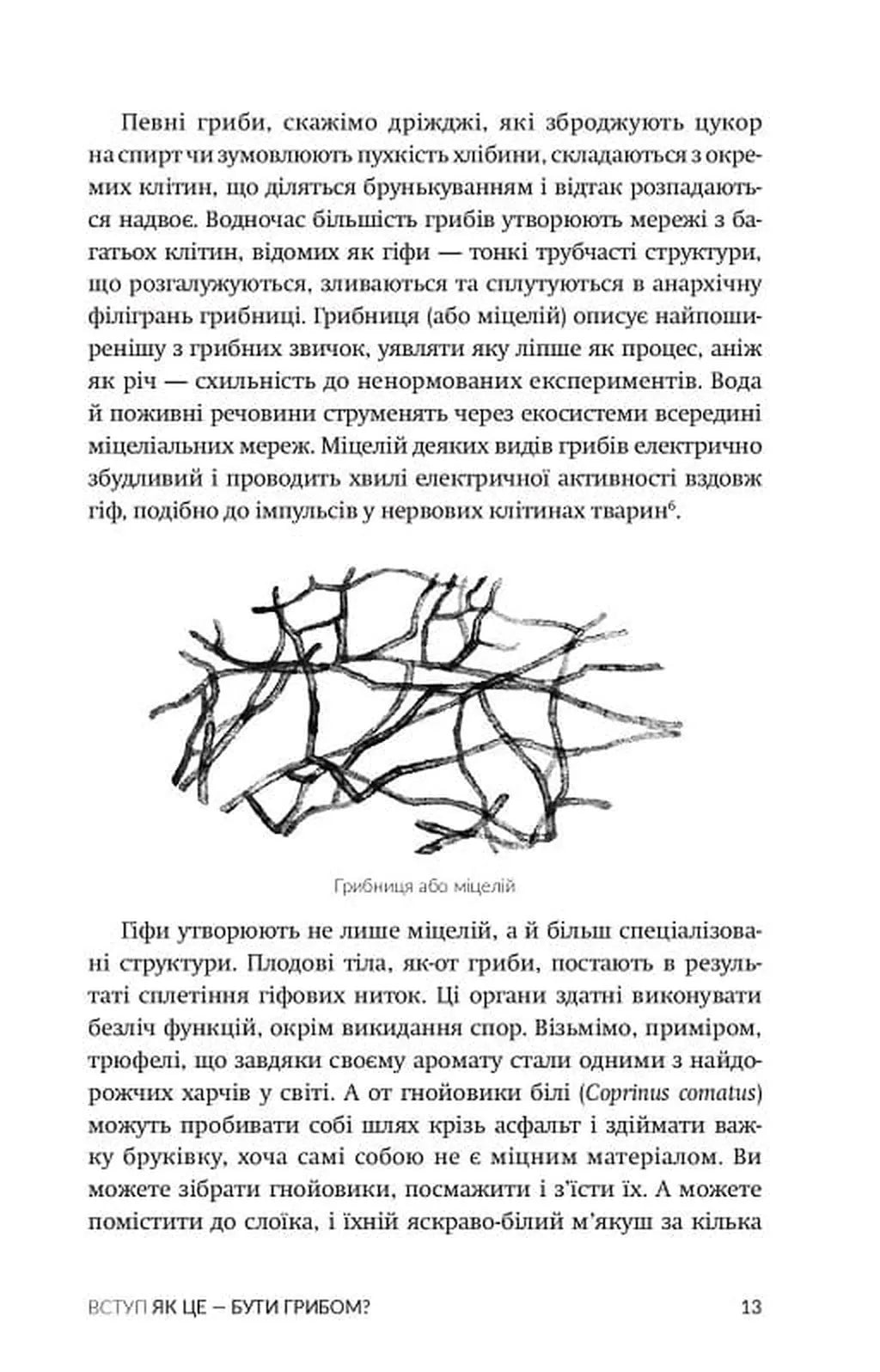 Заплутане життя. Як гриби формують наші світи, змінюють нашу свідомість і визначають наше майбутнє