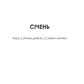 F#ck-апи сорокарічної. Книга 1. Нелл Стівенс
