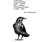 Вік Вовка. Книга 2. Норд