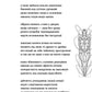 Марґіналії