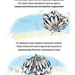 Пінгвінокупка