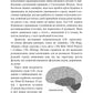 Зрозуміти мозок. Нейронаукові дослідження механізмів роботи мозку і його викрутасів