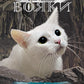 Знак місяця. Книга 4. Коти-вояки. Знамення Зореклану
