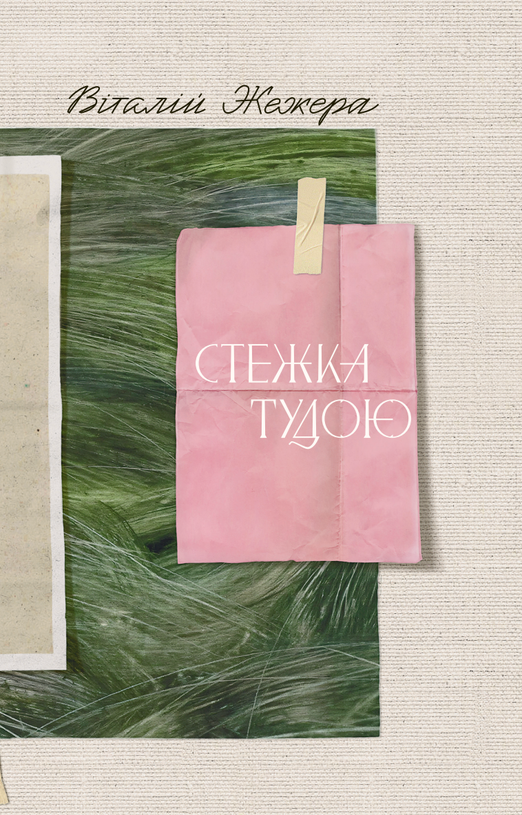 Стежка тудою cover