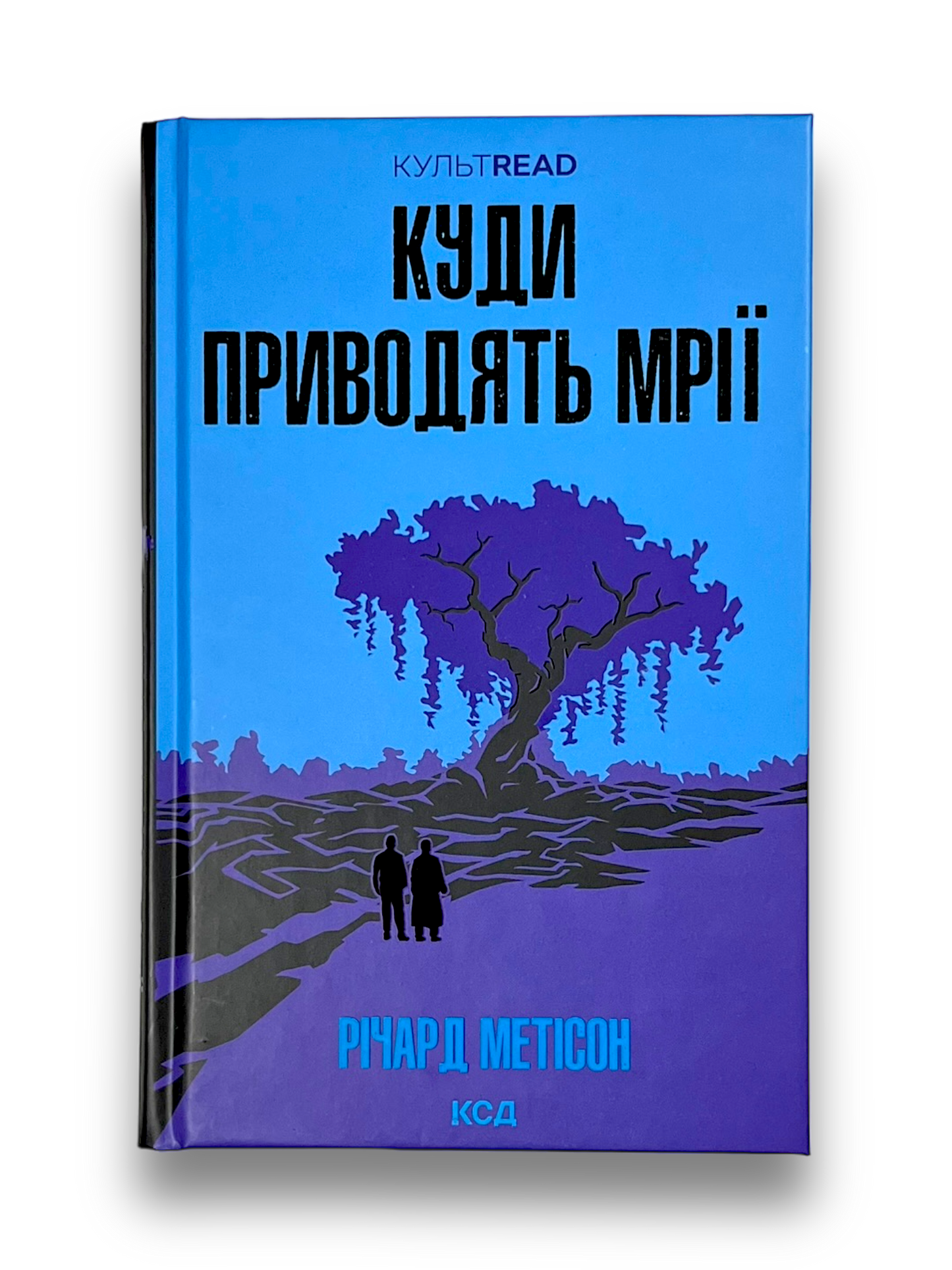 Куди приводять мрії