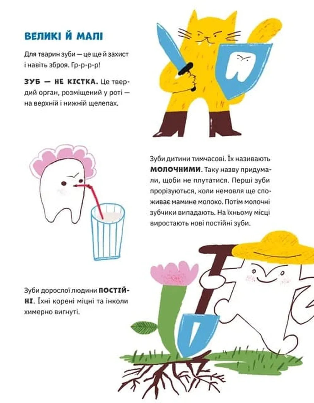 Зуби, зубиська і зубенята