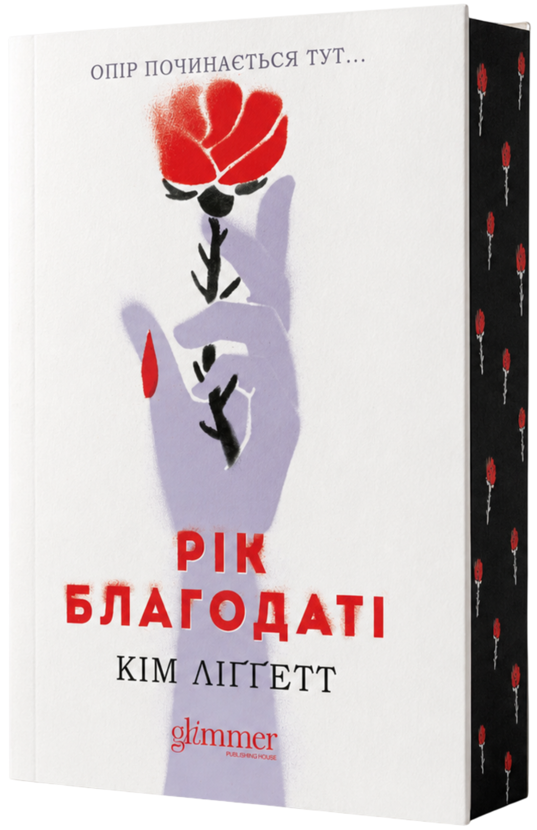 Рік благодаті cover