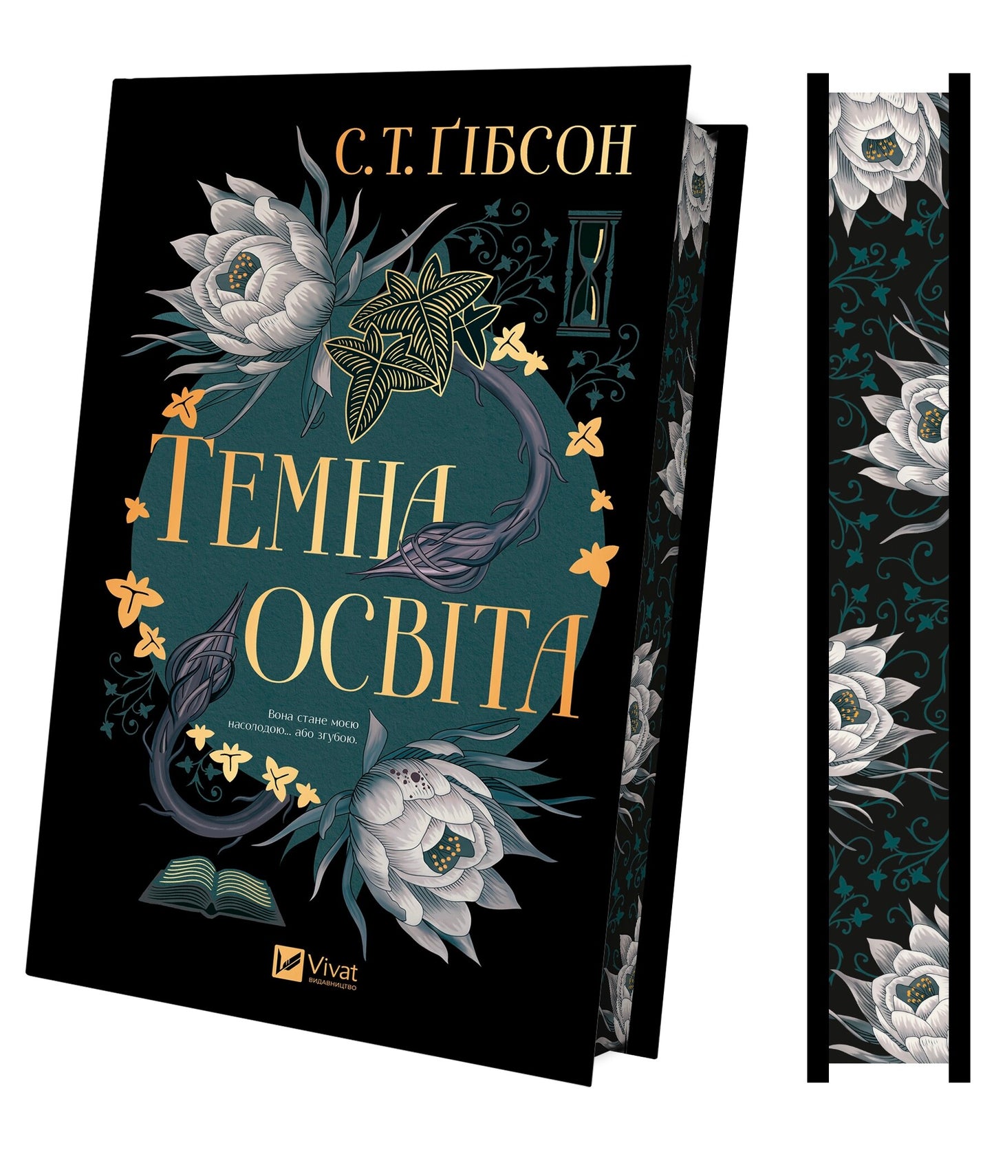 Темна освіта
