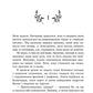 Пропаща принцеса. Книга 1. Академія Еверфолл