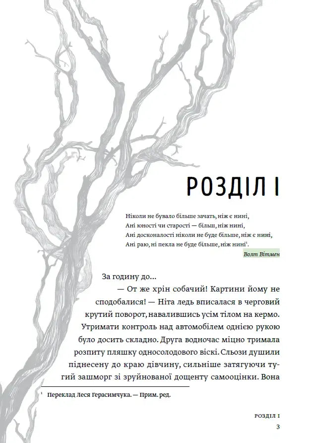 Тінь води