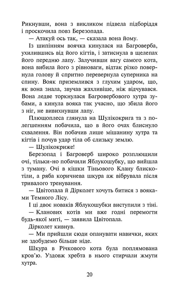 Остання надія. Книга 6. Коти - вояки. Знамення Зореклану