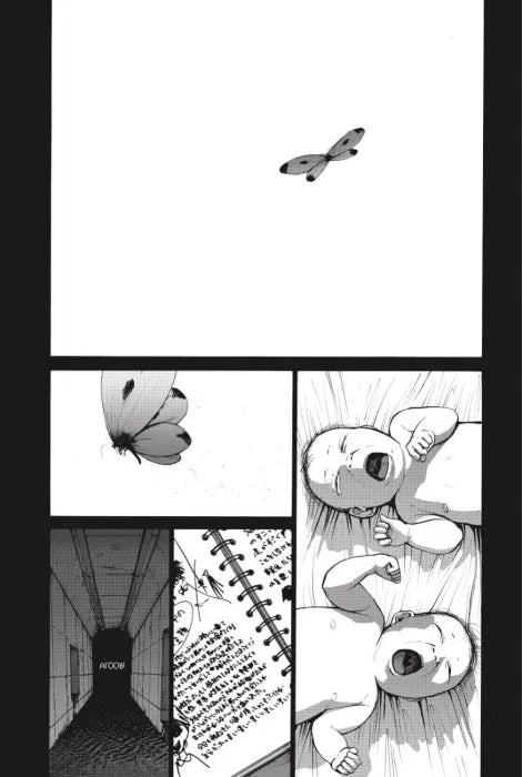 Голограф Веселкового поля