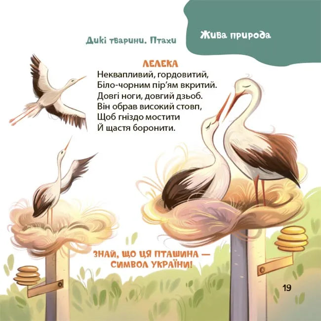 Віршенята-загадки для малят. Нежива природа, жива природа (тварини, рослини), транспорт, іграшки, приладдя для творчості. 3–5 років