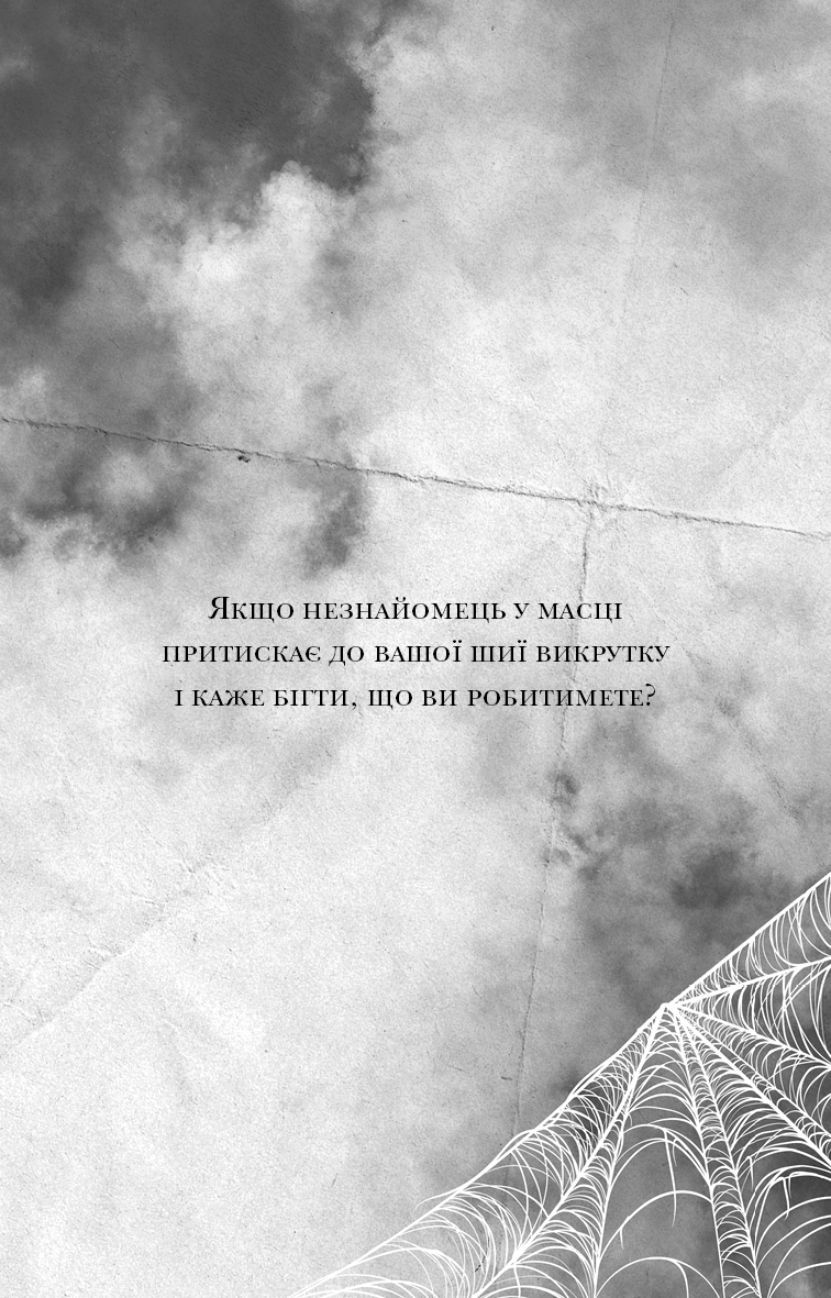 Павутина мовчання. Книга 1. Маленька незнайомка