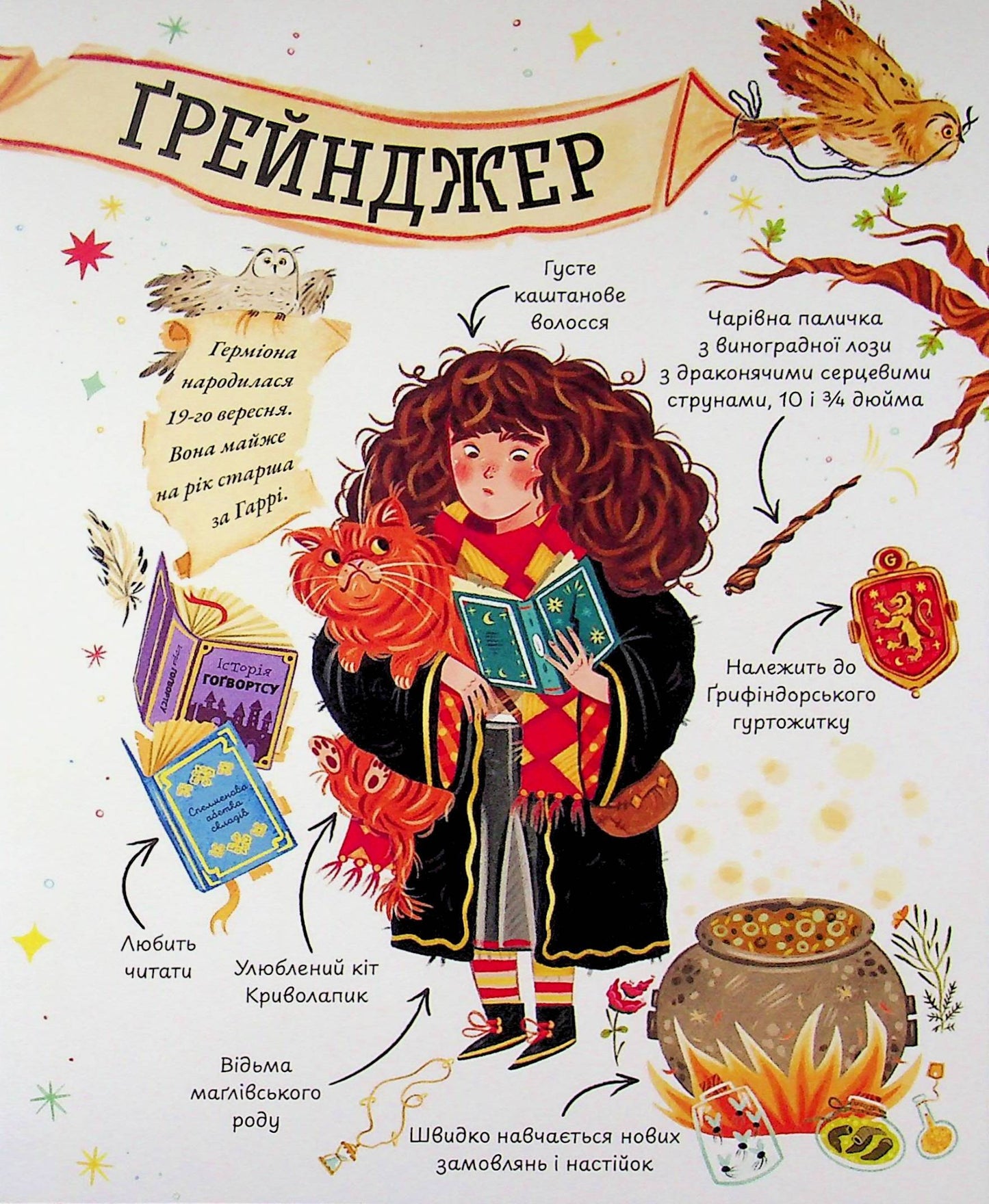 Міні-Поттери: Герміона Ґрейнджер