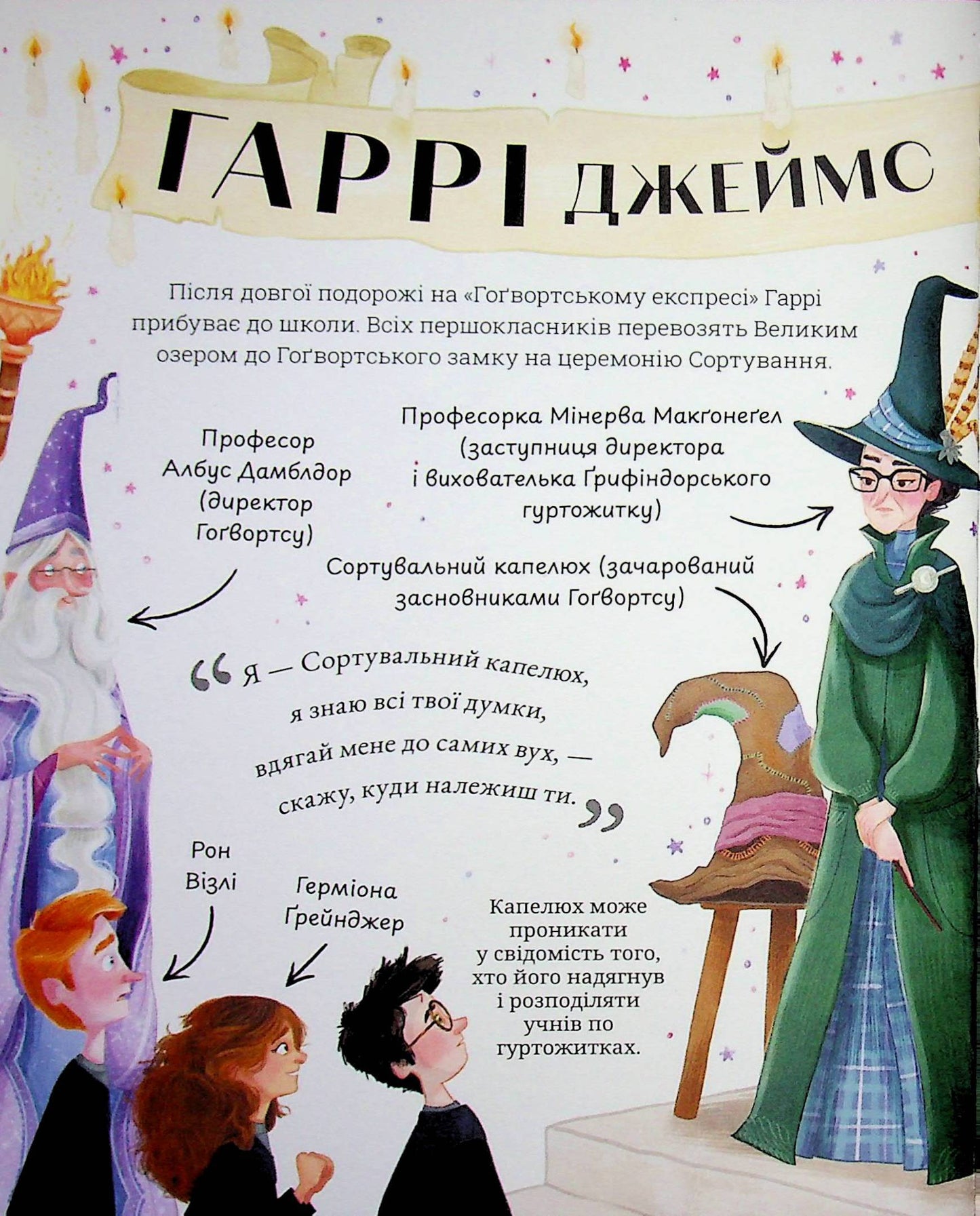 Міні-Поттери: Гаррі Поттер