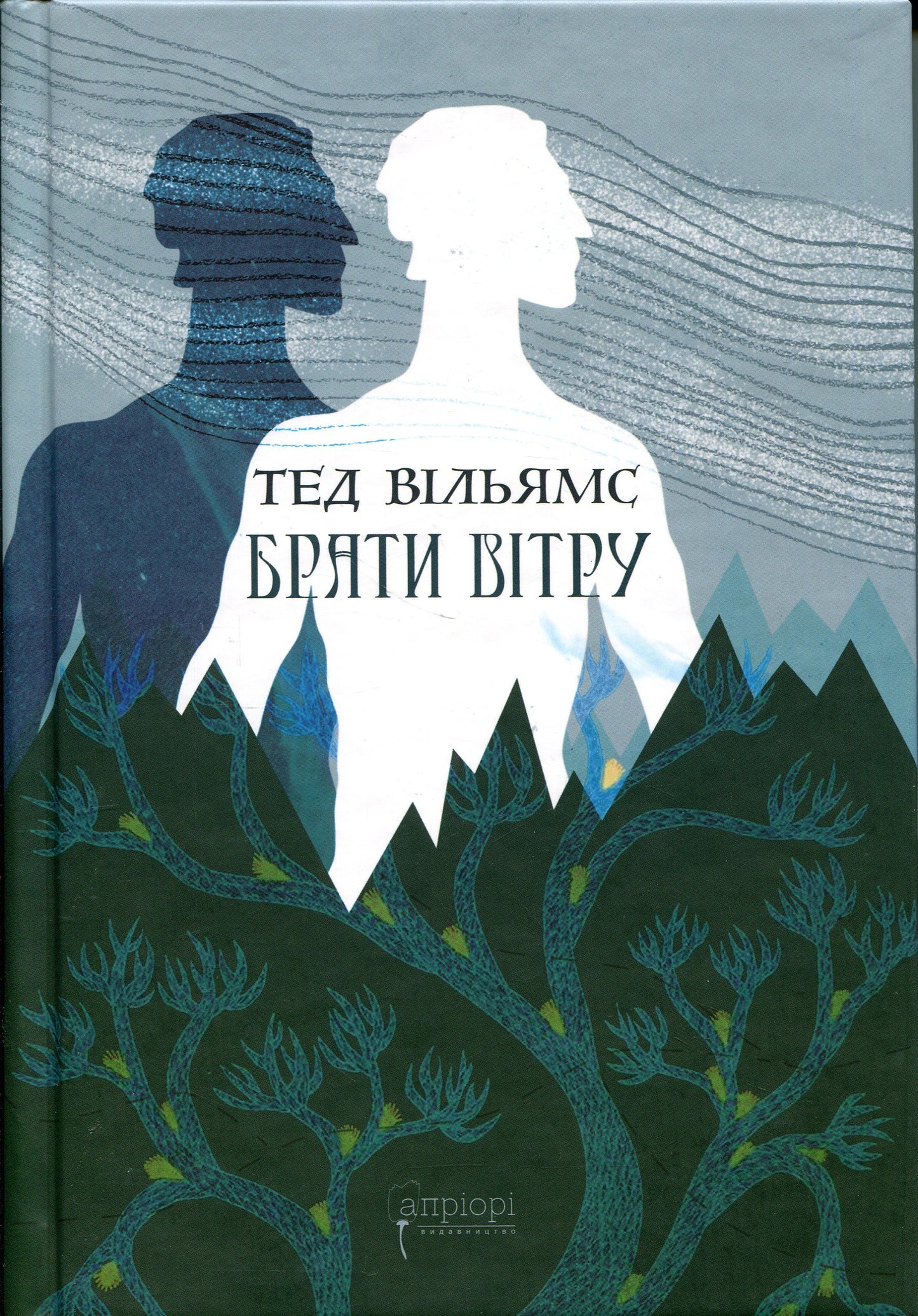 Брати вітру cover