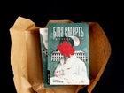 Біла смерть. Трилогія «Гельґі». Книга 1 image 6