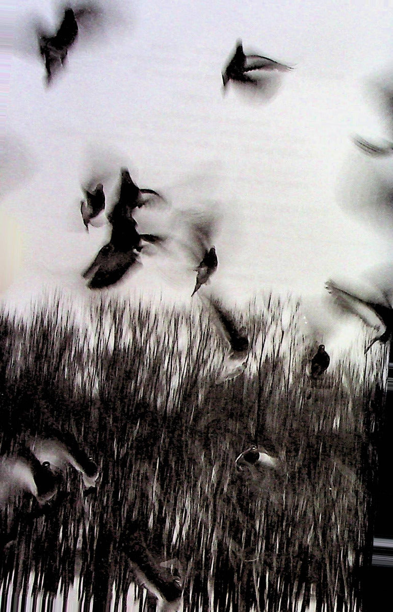 Страшенно голосно і неймовірно близько